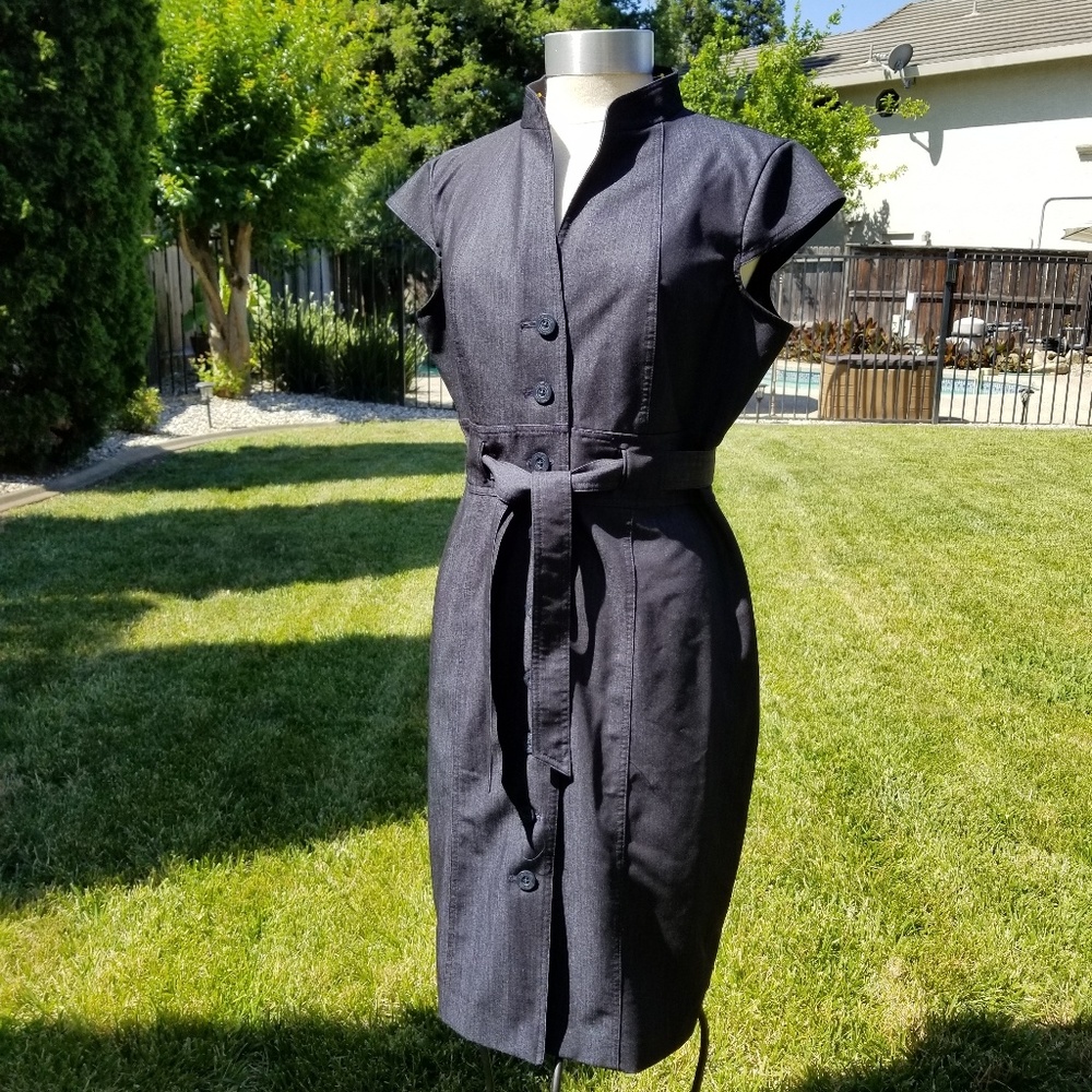 Calvin Klein Belted Button Down Dress